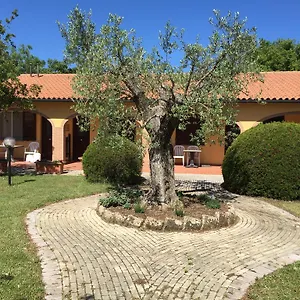 Il Girasole Alloggio per agriturismo Venturina Terme